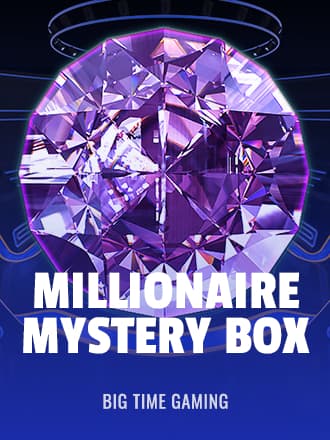 Millionaire Mystery Box