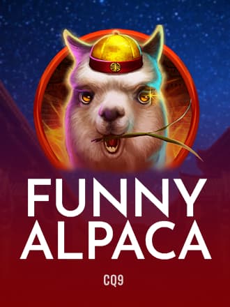 Funny Alpaca