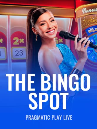 The Bingo Spot