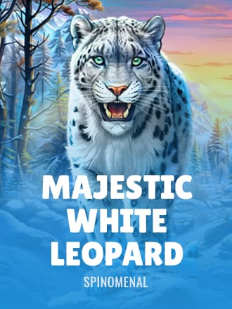 Majestic White Leopard